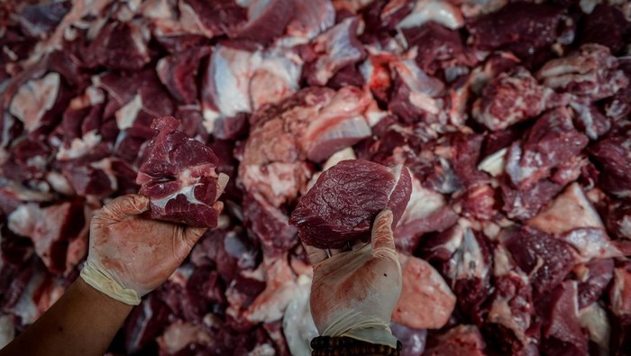 Dokter hewan memeriksa daging sapi kurban di UPT Rumah Potong Hewan (RPH) Bayur, Kota Tangerang, Banten, Jumat (6/6/2025). Pemeriksaan pada jeroan dan daging hewan kurban tersebut untuk memastikan kelayakan serta keamanan sebelum dikonsumsi masyarakat. ANTARA FOTO/Putra M. Akbar/nym.
