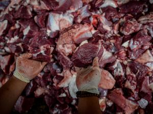 Cara Menurunkan Kolesterol Usai Terlalu Banyak Makan Daging Kurban