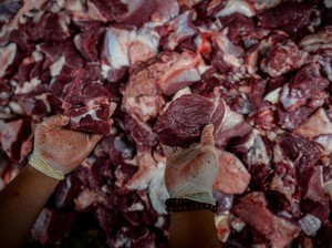 Apakah Boleh Daging Kurban Diberikan kepada Tetangga Nonmuslim?