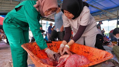 Daging Kurban dan Jeroan Diperiksa, Pastikan Aman Dikonsumsi Warga