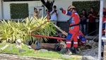 Damkar Evakuasi Sapi Kurban Nyemplung Kolam