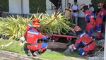 Damkar Evakuasi Sapi Kurban Nyemplung Kolam