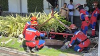 Kepala Dispendik Jatim, Aries Agung Paewai, menjelaskan bahwa sapi itu terlepas dari tempat ikatannya sebelum salat dimulai.