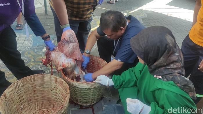 Dinas Pangan dan Pertanian (Dispaperta) Kabupaten Sidoarjo Memeriksa Daging Kurban