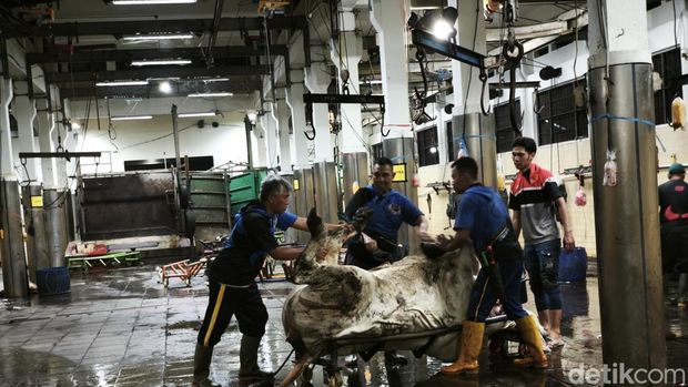 Dito, juru sembelih halal di RPH Ciroyom.