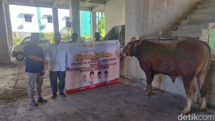 Gerindra Jatim bagikan ratusan hewan kurban di Idul Adha