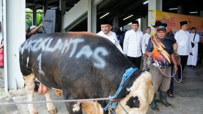 Hari Raya Idul Adha, Korlantas Polri Kurban 56 Sapi dan 16 Kambing (Dok istimewa).