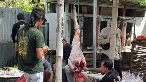 Pemotongan hewan kurban Idul Adha di salah satu titik di Labuan Bajo, Manggarai Barat, NTT, Jumat (6/6/2025). (Istimewa)