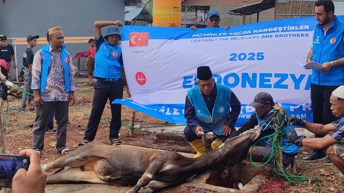 Turkiye Diyanet Vakfi (TDV) menyumbang hewan kurban di Pesantren Alam Tahfidzul Quran Kolong, Desa Siru, Kecamatan Lembor, Manggarai Barat, NTT, Jumat (6/6/2025).