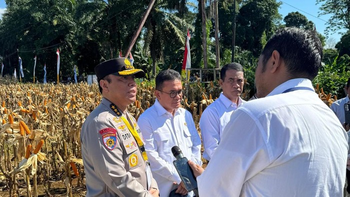 Irwasum Polri Komjen Dedi Praetyo, selaku Pengawas Gugus Tugas Ketahanan Pangan Polri. (Audrey/detikcom)