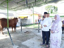 Polda Babel Berkurban 37 Sapi dan 18 Kambing di Idul Adha 2025
