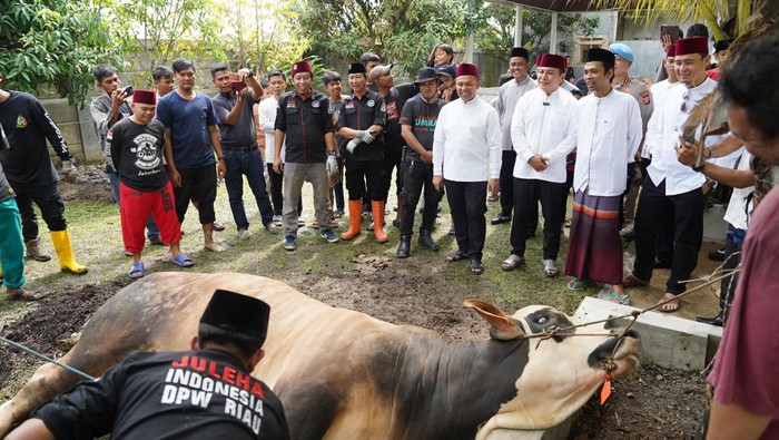 Kapolda Riau Irjen Herry Heryawan menyerahkan sumbangan sapi kurban dari Kapolri Jenderal Listyo Sigit Prabowo untuk Ustaz Abdul Somad, Jumat (6/6/2025).