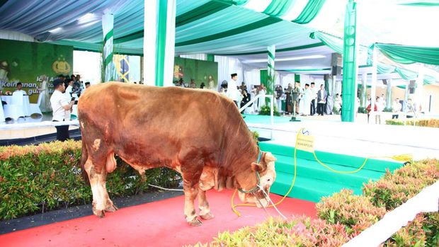 Kapolri Serahkan 9.648 Hewan Kurban untuk Masyarakat