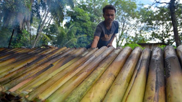 Pekerja membakar lamang (lemang) bambu di Sungai Sapih, Padang, Sumatera Barat, Kamis (5/6/2025). Menjelang Idul Adha 1446 hijriyah, pedagang lamang mengaku pesanannya meningkat dari hari biasa sekitar 20-40 batang per hari menjadi 200-400 batang per hari karena kebutuhan tinggi masyarakat menyediakan makanan terbuat dari beras ketan itu saat hari besar di keluarga mereka sesuai tradisi Minang. ANTARA FOTO/Iggoy el Fitra/bar