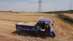 Musim Panen Jadi Musim Merana di Ladang Gandum China Musim Panen Jadi Musim Merana di Ladang Gandum China