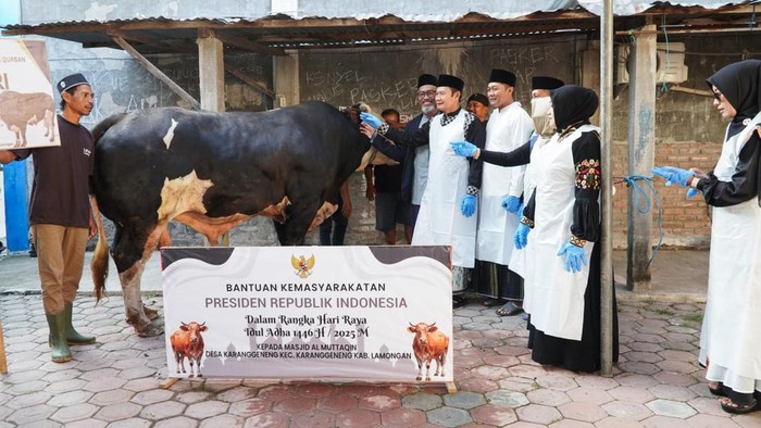 Penyerahan Sapi Kurban dari Presideb Prabowo