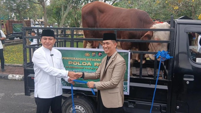 Polda Riau dan polres jajaran mendistribusikan 191 ekor hewan kurban kepada masyarakat pada Idul Adha 2025.