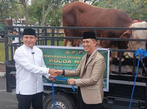 Polda Riau Distribusikan 191 Ekor Hewan Kurban ke Masyarakat