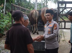 Polres Rohul Salurkan 10 Ekor Hewan Kurban ke Masjid-masjid di Pelosok Desa