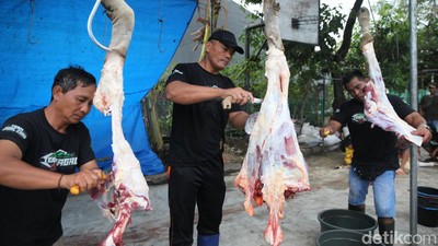 Potret Warga Bekasi Gotong Royong Sembelih Hewan Kurban