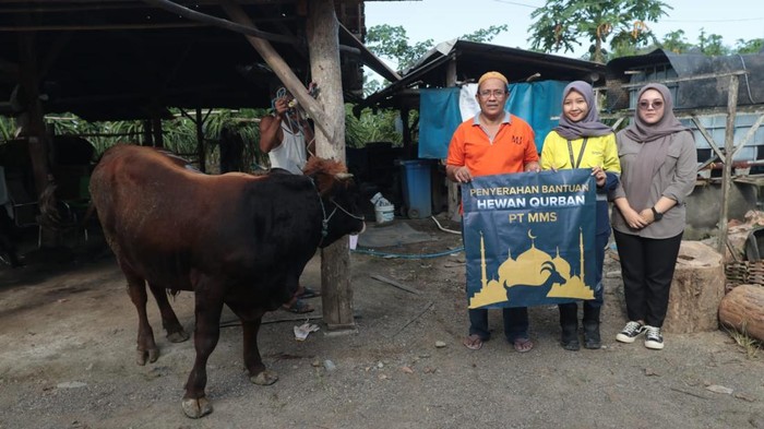 PT BSI menyalurkan hewan kurban jelang Idul Adha