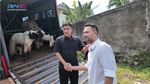 Masya Allah! Raffi Ahmad Kurban 22 Sapi dan 90 Kambing