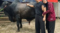 Kabarnya, Raffi memberikan hadiah 1 ekor sapi berbobot 1,2 ton untuk Sonny Septian. Sapi itu diketahui bernama Kahfi yang juga berasal dari peternakan Irfan Hakim. Foto: Instagram/YouTube