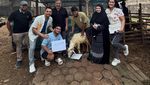 Masya Allah! Raffi Ahmad Kurban 22 Sapi dan 90 Kambing