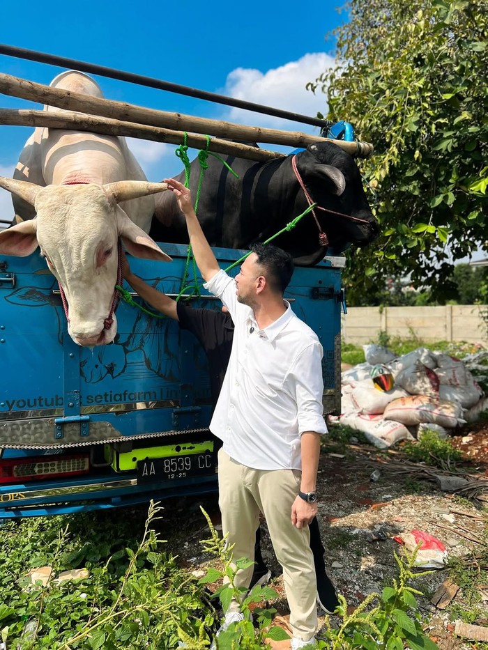 Masya Allah! Raffi Ahmad Kurban 22 Sapi dan 90 Kambing