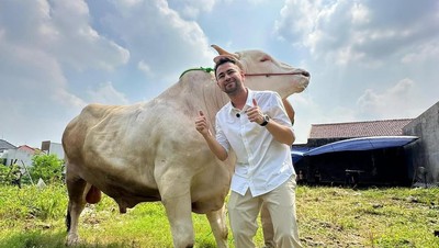 Masya Allah! Raffi Ahmad Kurban 22 Sapi dan 90 Kambing