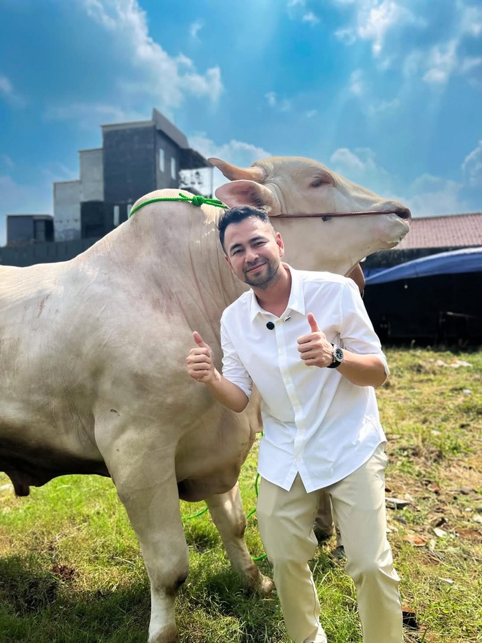 Raffi Ahmad kurban
