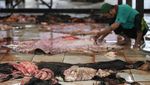 Raup Rezeki dari Kulit Sapi Kurban