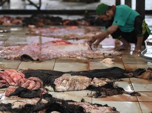Bolehkah Panitia Idul Adha Mengambil Kulit Hewan Kurban?