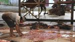 Raup Rezeki dari Kulit Sapi Kurban