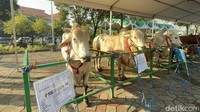 Pantauan detikJatim, di area sapi itu dipasang pembatas untuk jemaah yang menyaksikan.