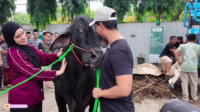 Sapi Kurban Sonny Septiap dan Fairuz A. Rafiq