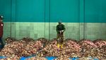 Penampakan Daging Kurban Banjiri Dusun Krajan Banjarnegara