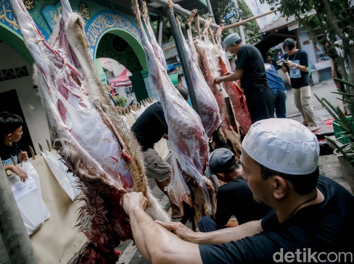 Warga menyembelih hewan kurban saat Idul Adha 1446 H di kawasan Kebon Melati, Jakarta, Jumat (6/6/2025). Hewan kurban kambing, sapi hingga kerbau disembelih usai umat muslim melaksanakan Salat Hari Raya Idul Adha 1446 H.