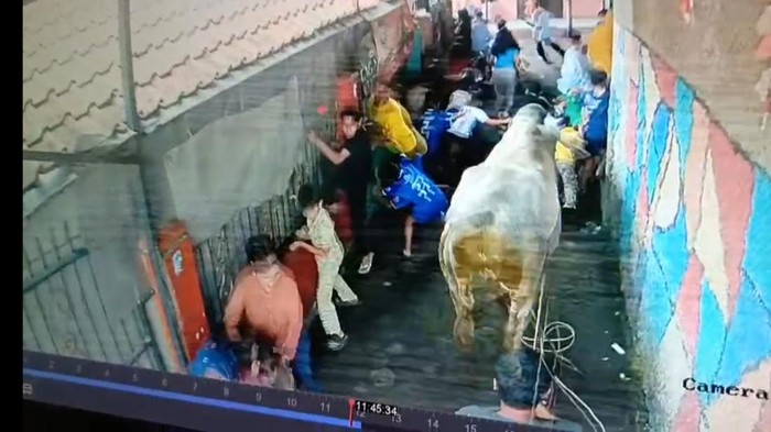 Tangkapan layar sapi di Bandung ngamuk dan seruduk warga.