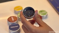 Tanaman herbal tersebut antara lain, Lemon Balm, Lavender, Mugword, Valerian, Ginkgo Biloba, Pegagan, Chickweed, hingga Chamomile. Foto: detikcom/Riska Fitria