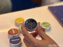 Ini Racikan Teh Herbal yang Bisa Bikin Kantuk dalam Waktu 30 Menit