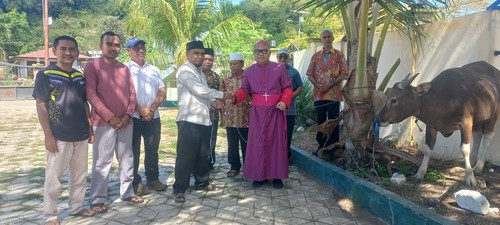 Uskup Labuan Bajo, Mgr Maksimus Regus, menyerahkan satu sapi kurban Idul Adha 2025 kepada pengurus BKM Masjid Besar Nurul Falah Wae Mata, Labuan Bajo, Jumat (6/6/2025) (Dok. Keuskupan Labuan Bajo)