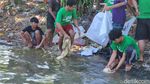 Potret Warga Surabaya Mencuci Rumen di Sungai