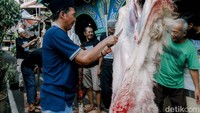 Testis kambing atau populer dengan istilah torpedo, juga termasuk yang perlu dibatasi. Senyawa purin yang terkandung di dalamnya bisa memicu peningkatan asam urat. Foto: Grandyos Zafna Manase Mesah/detikHealth