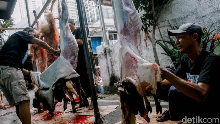 Kenapa Banyak yang Sakit Kepala Saat Kurban? Ini 3 Penyebab Tak Terduga