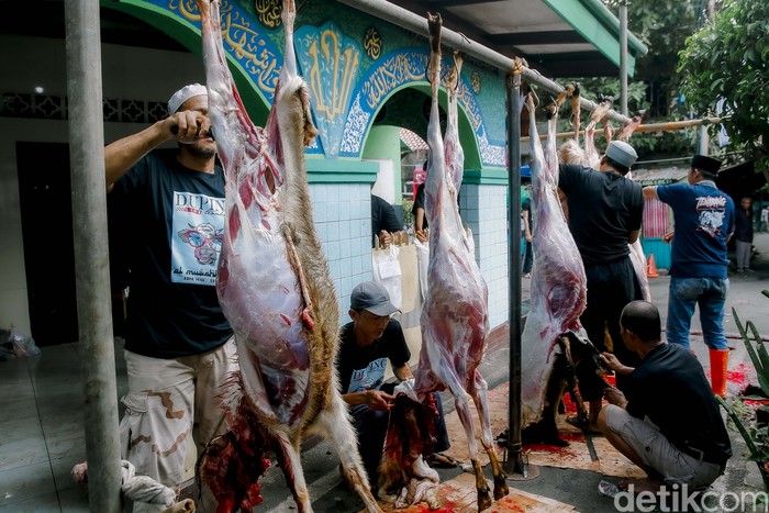 Asupan daging dipastikan meningkat selama Idul Adha. Tapi hati-hati, risiko kolesterol-asam urat tetap harus diwaspadai di balik lezatnya olahan daging kurban.