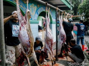 Jelang Kurban, Dokter Wanti-wanti Dampak Kalap Makan Daging Berlebihan