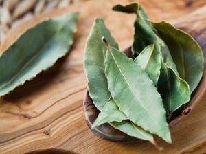7 Manfaat Daun Salam untuk Kesehatan dan Cara Mengolahnya