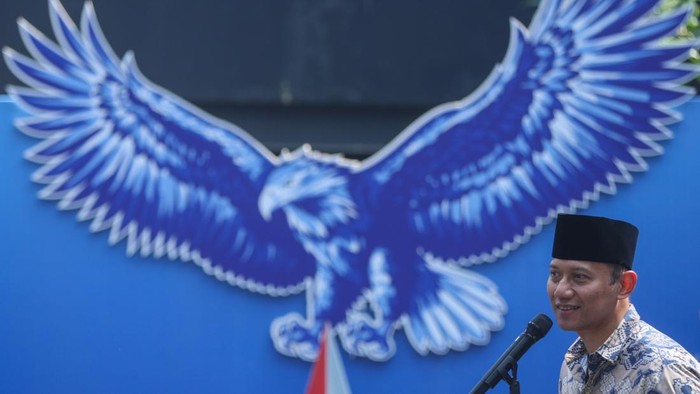 AHY Serahkan Sapi Limosin 1,2 Ton untuk Kurban Ketua Umum Partai Demokrat, Agus Harimurti Yudhoyono (AHY), menyerahkan seekor sapi kurban jenis limosin seberat 1,2 ton untuk disembelih di kantor DPP Partai Demokrat, Jakarta, Sabtu (7/6/2025). Sapi tersebut langsung diserahkan AHY kepada panitia kurban.