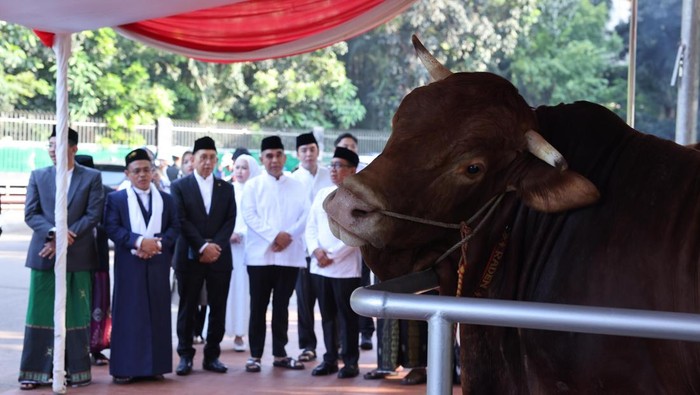 APPSI apresiasi Prabowo beli 985 sapi untuk kurban